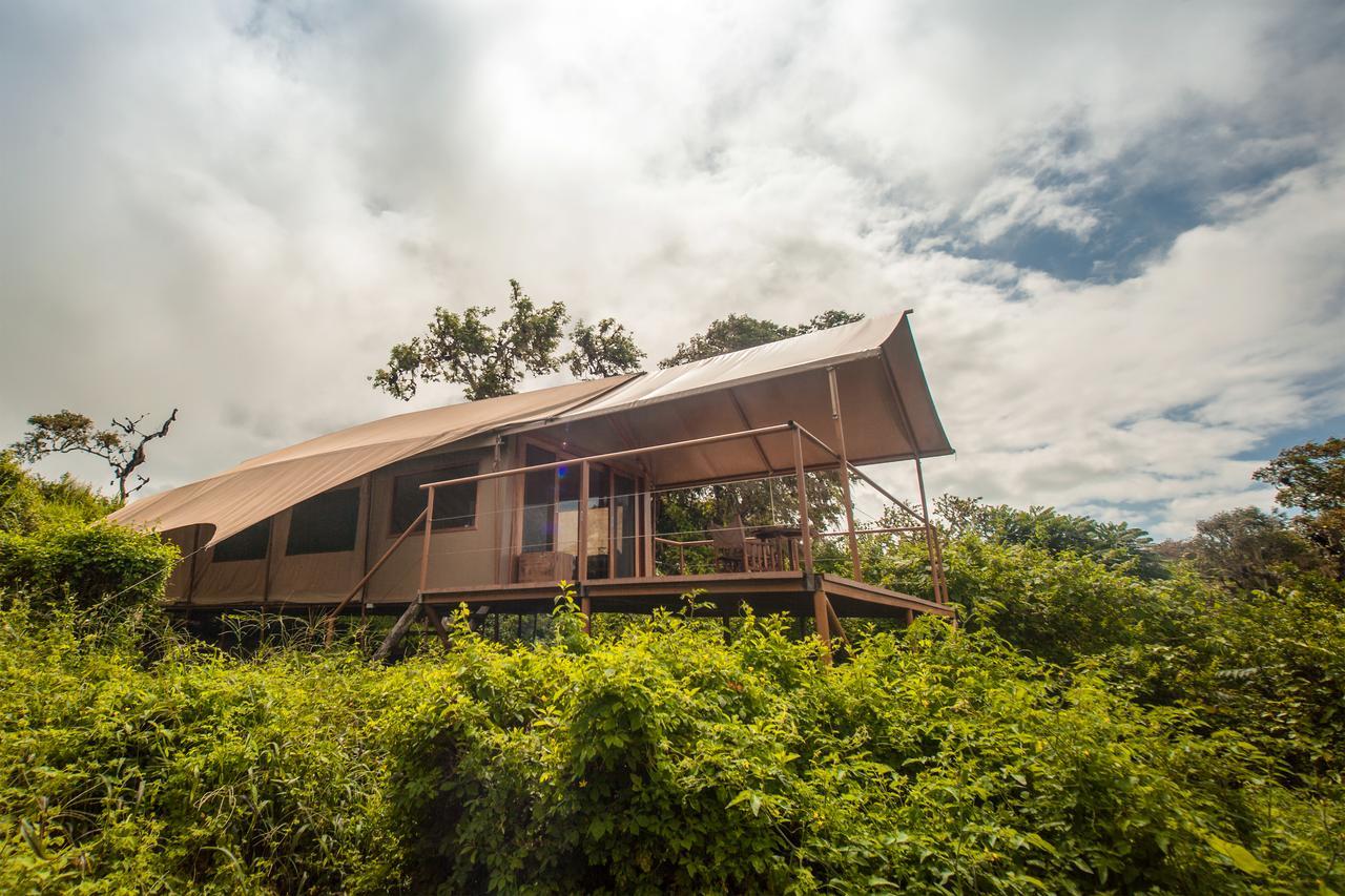 Galapagos Safari Camp Villa GALAPAGOS ISLANDS Eksteriør billede